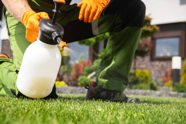 Best Emergency Pest Control  in Manchester, IA
