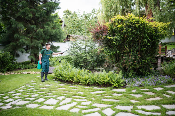 Professional Pest Control in Manchester, IA