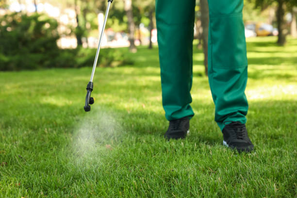 Insect Control in Manchester, IA