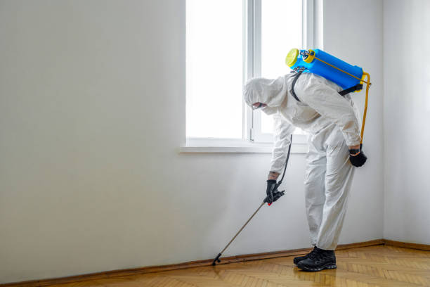Best Emergency Pest Control  in Manchester, IA