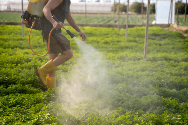 Best Affordable Pest Control Services  in Manchester, IA