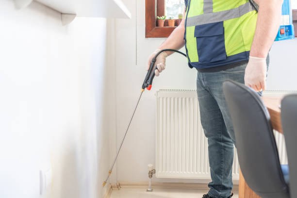Best Ant Control Services  in Manchester, IA