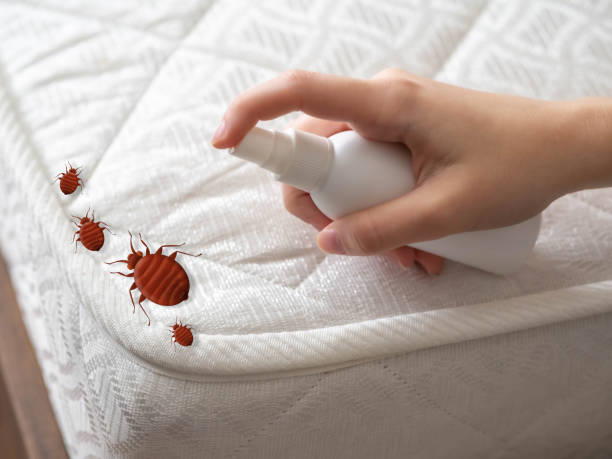 Best Flea Control Services  in Manchester, IA