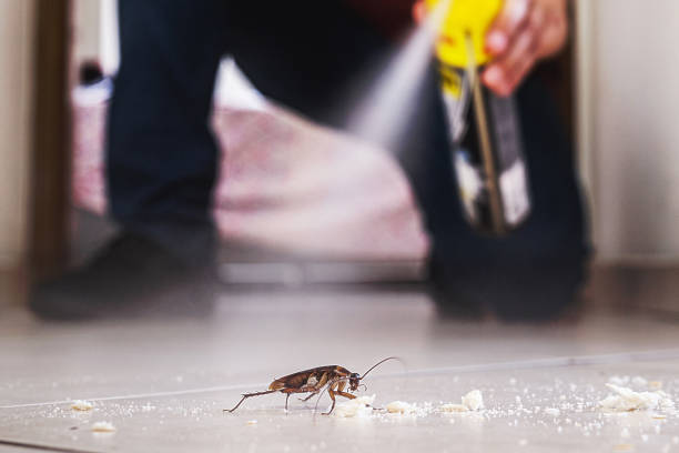 Best Mosquito Control Services  in Manchester, IA