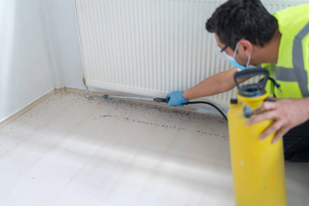Best Local Pest Control Services  in Manchester, IA
