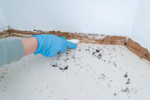 Best Wildlife Control Services  in Manchester, IA