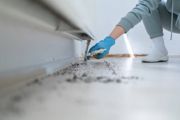Best Mosquito Control Services  in Manchester, IA